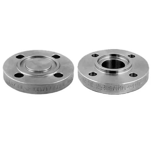 Gr 2 Titanium Tongue and Groove Flanges